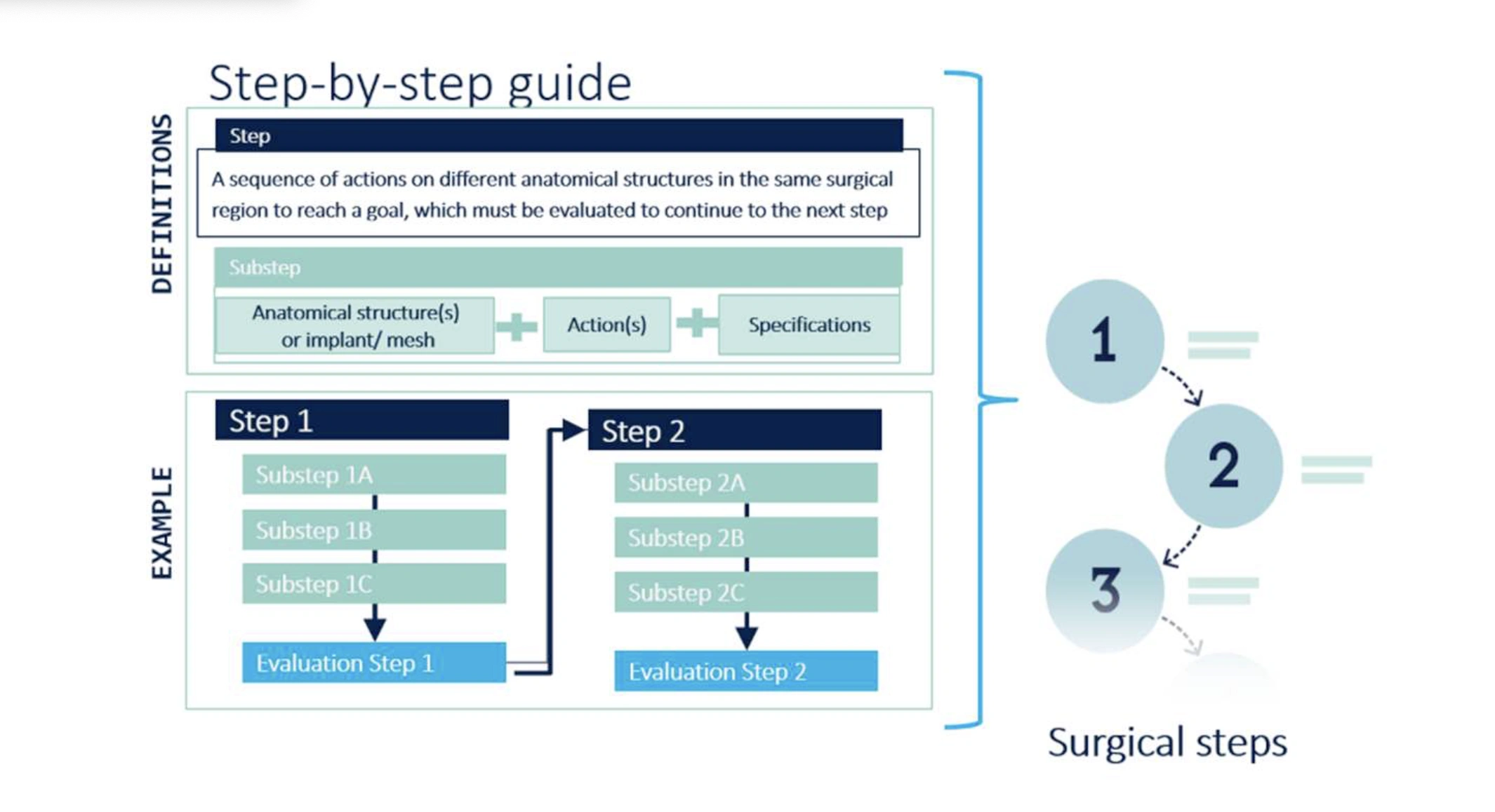 Anatomy & surgery: a sequence of actions on different anatomical structures in the same surgical region to reach a goal